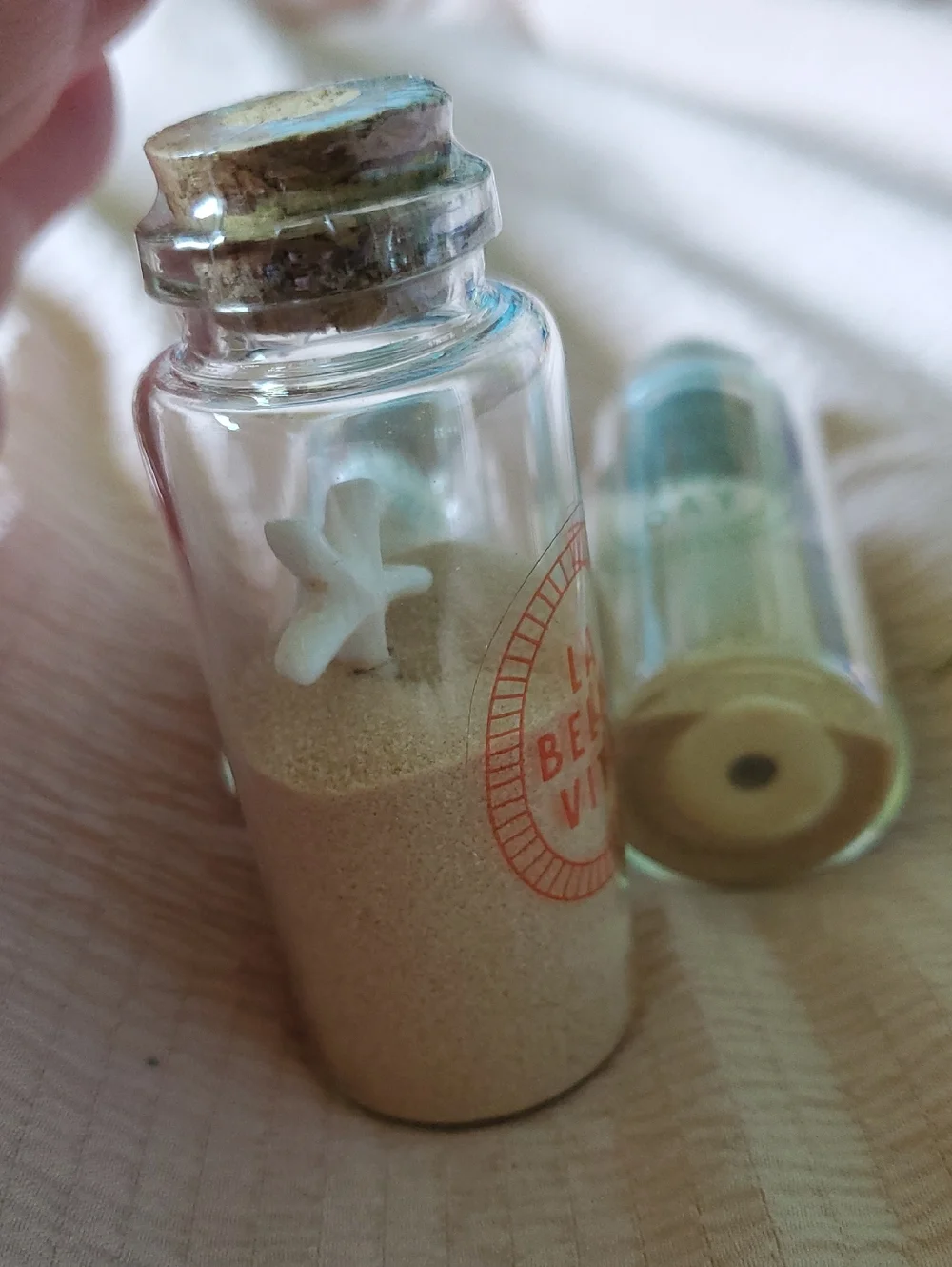 Bullseye Playground Message On A Bottle Beach Sand And Shell Mini Decorative